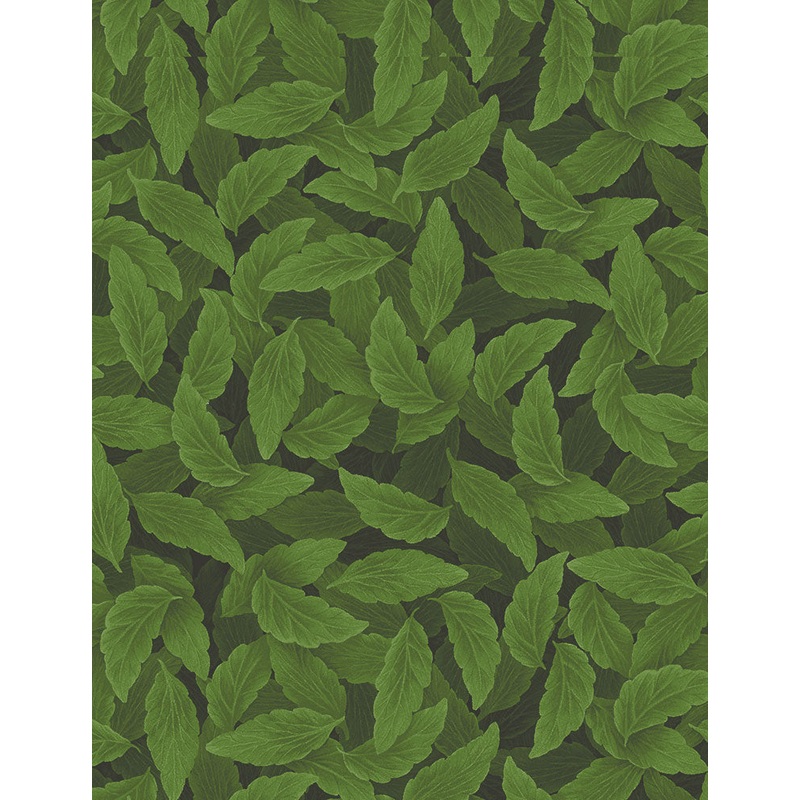 Pansy Packed Green Leaves Nature Timeless Treasures Cotton Fabric