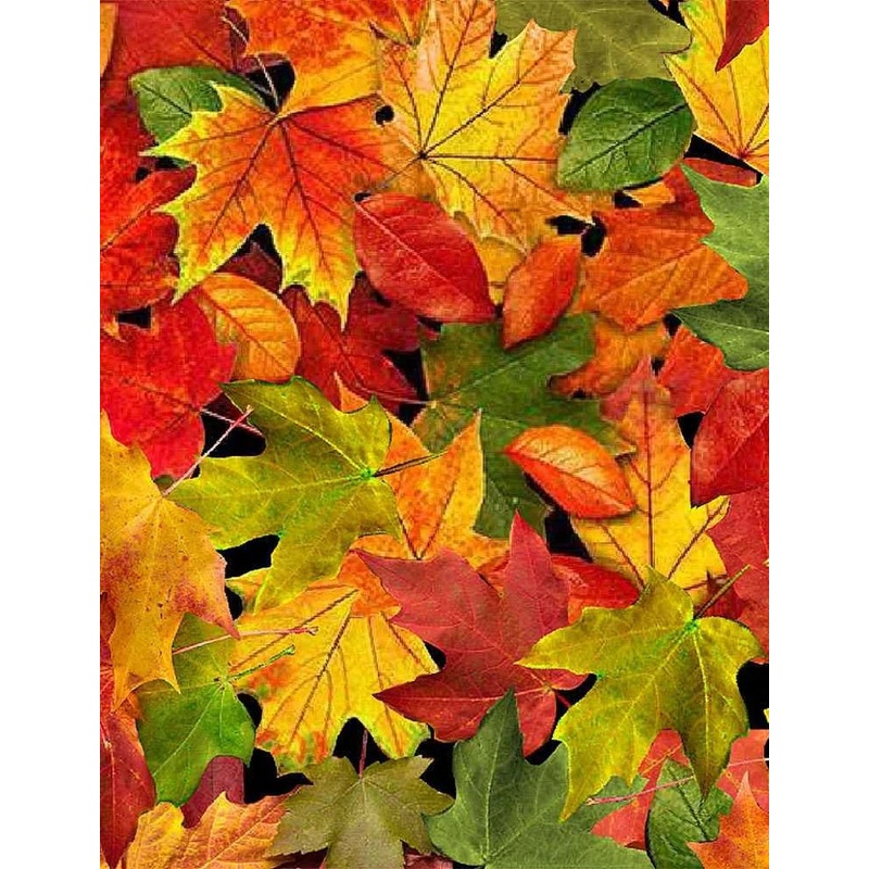 Fall Foliage Autumn Large Leaves Multi Timeless Treasures Cotton Fabric