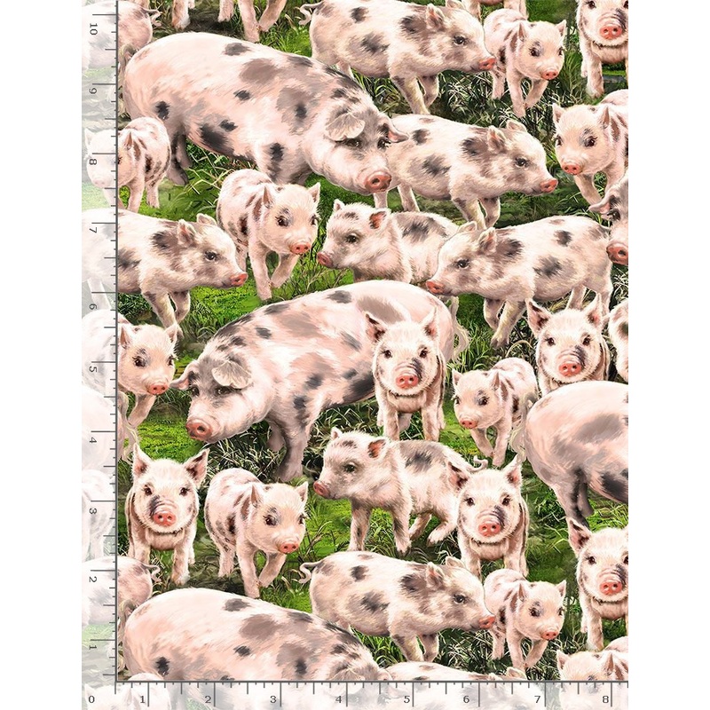 Farm Life Dona Gelsinger Pigs Packed Timeless Treasures Cotton Fabric