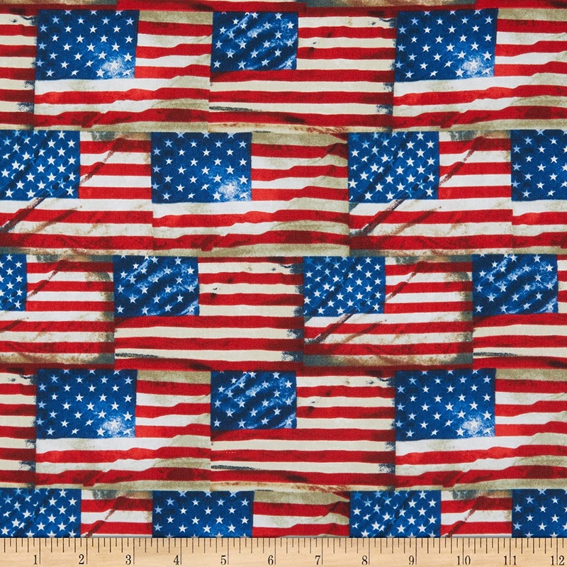 We the People Flags Packed USA Timeless Treasures Cotton Fabric