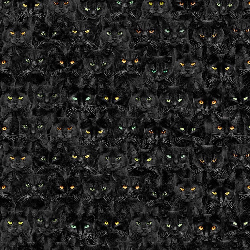 Wicked Black Cats Magic Black Timeless Treasures Cotton Fabric