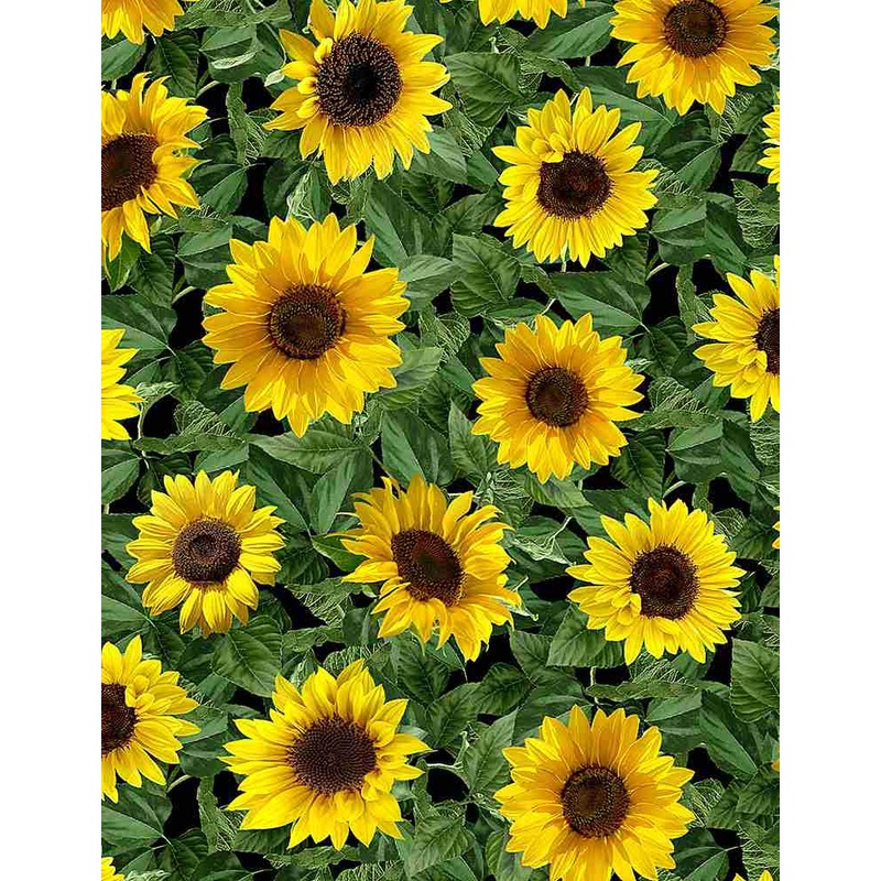 Garden Bouquet Small Leafy Sunflowers Black Timeless Treasures Cotton fabric