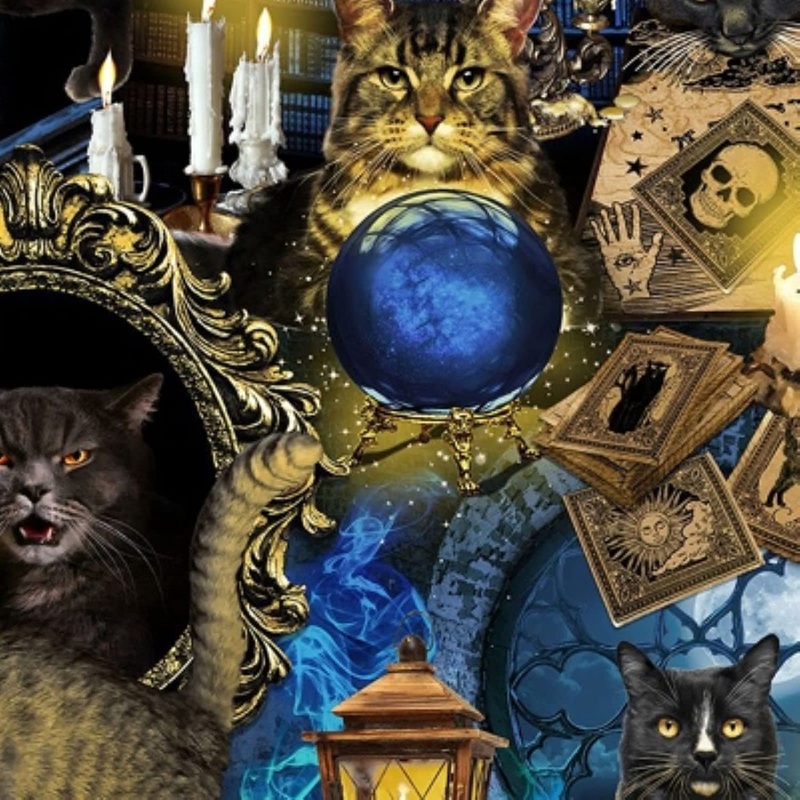 Mystical Meow Spooky Cats Halloween Timeless Treasures Cotton Fabric