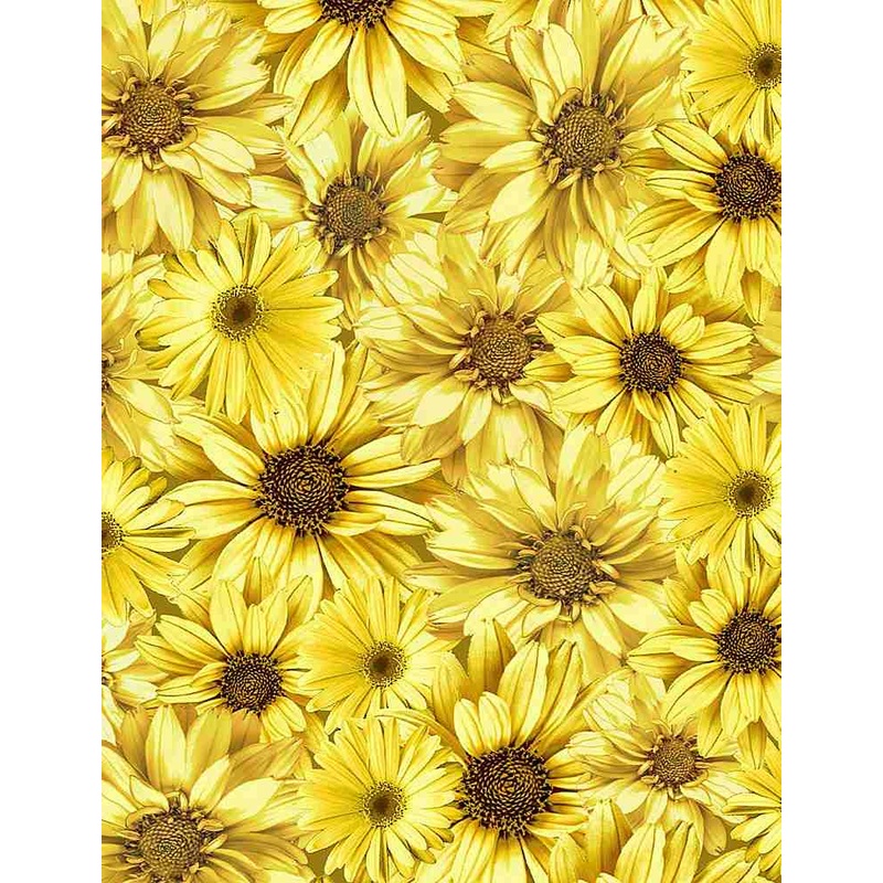 Queen Bee Packed Sunflowers Honey Timeless Treasures Cotton Fabric