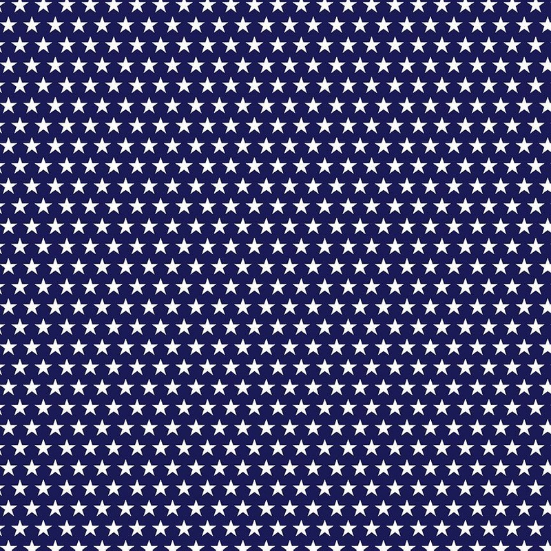 BBQ Season USA Stars Navy Gail Cadden Timeless Treasures Cotton fabric