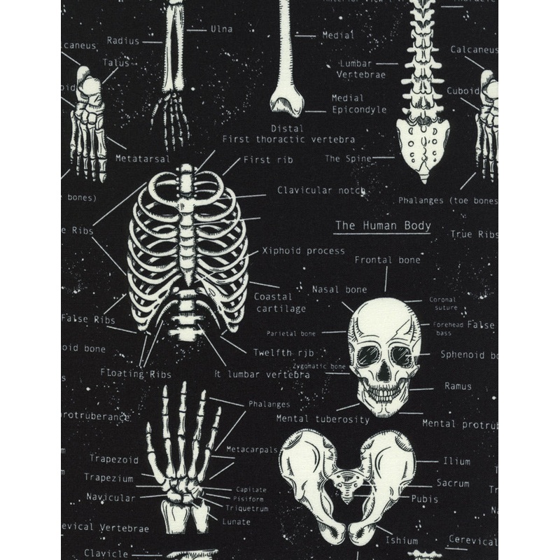 Skeletons Glow the Dark Skeletons Halloween Timeless Treasures Cotton Fabric