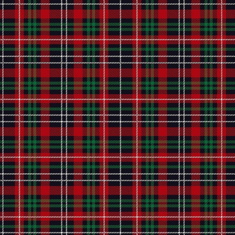 Softie Holiday Lumberjack Buffalo Plaids Multi Gail Cadden Timeless Treasures 58" Minky Fabric TT-WSOFTIEG-PD2082-MULTI