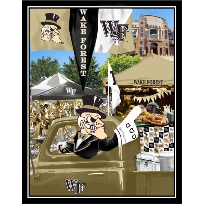 Wake Forest Demon Deacons NCAA College Tailgate Panel Sykel Cotton Fabric
