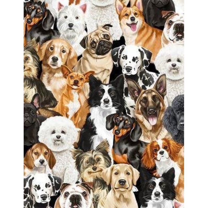 Dogs C8553-Multi