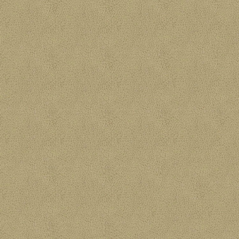 ABBEYSHEA Baldwin 6003 Beige Fabric