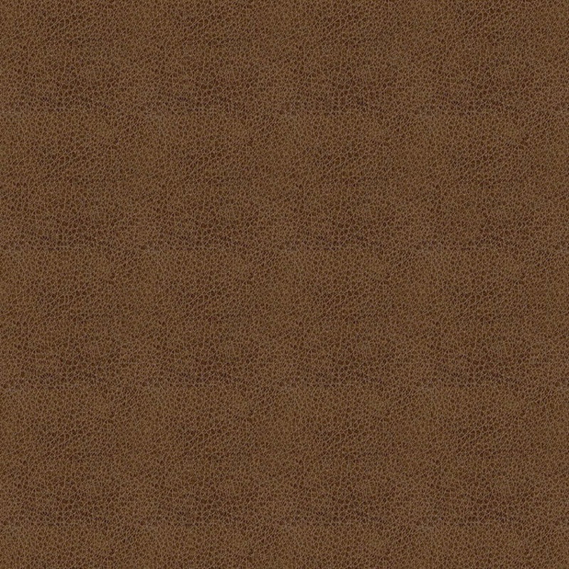 ABBEYSHEA Baldwin 8009 Amber Fabric