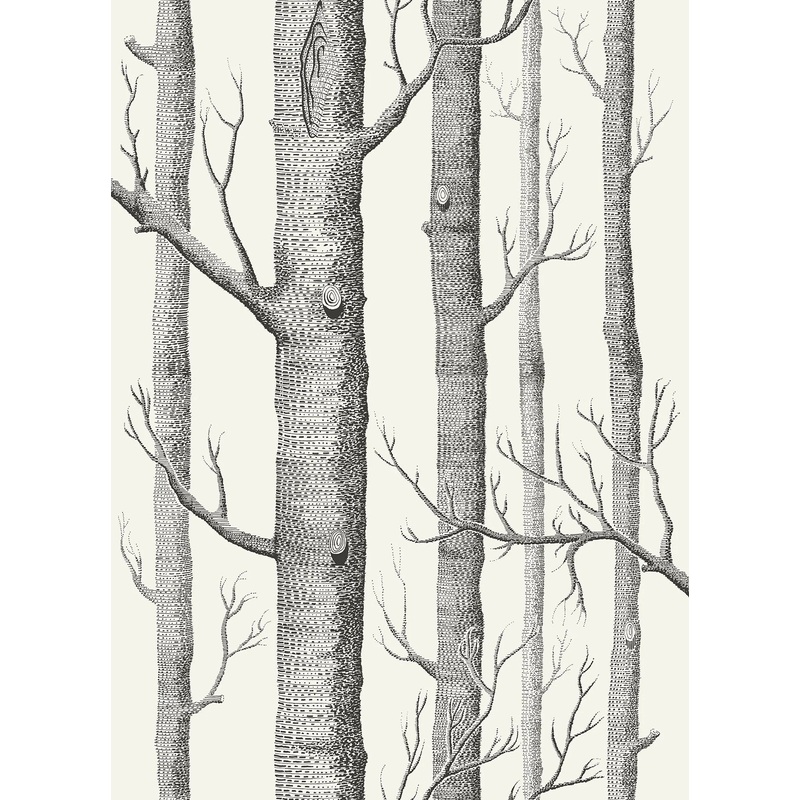 Woods Wallpaper
