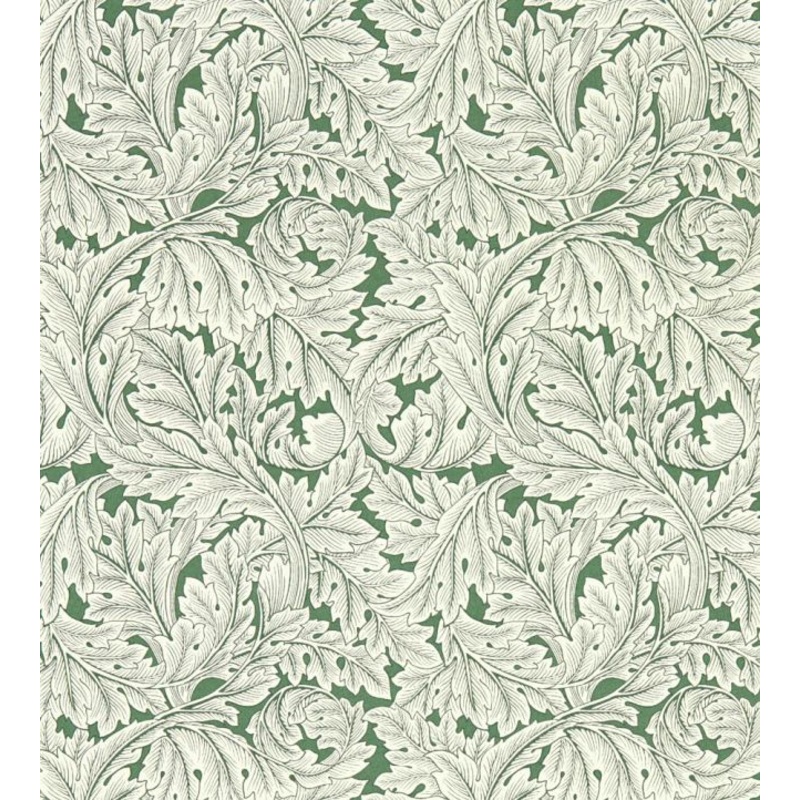Acanthus Wallpaper - Sage - W0175/01 - Clarke & Clarke