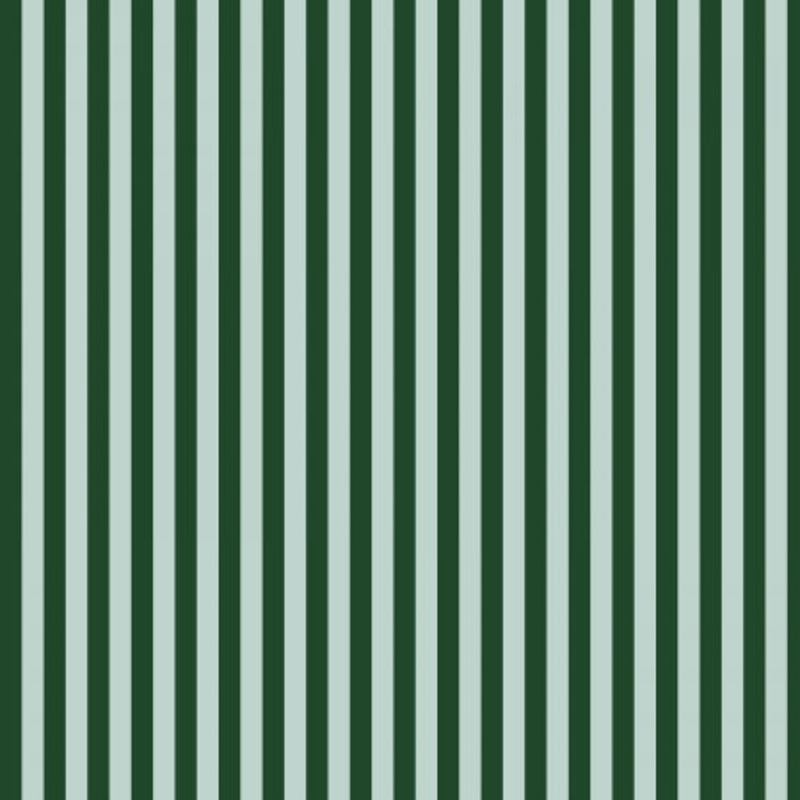 Cotton + Steel Primavera Cabana Stripe Mint