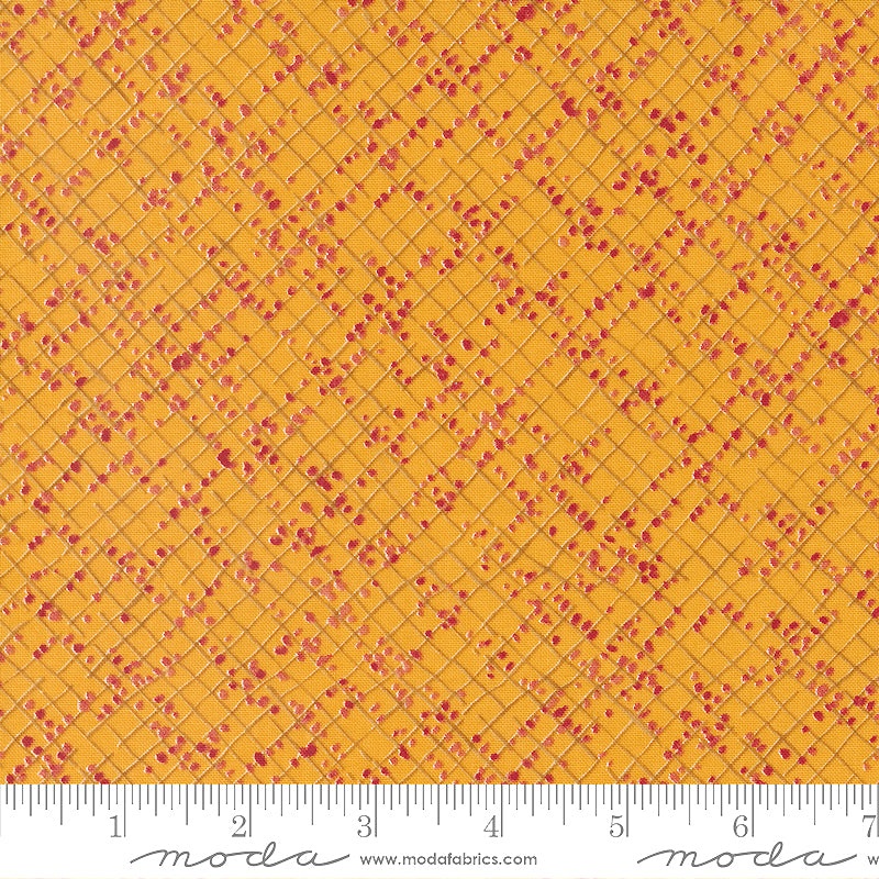 Wild Blossoms 48737-17 Honeycomb Blotted Graph Paper